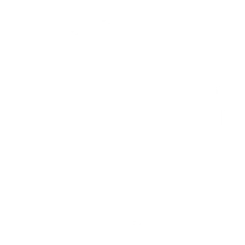 Topfysio